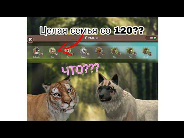 WildCraft | туториал на полную семью без 170 уровня!