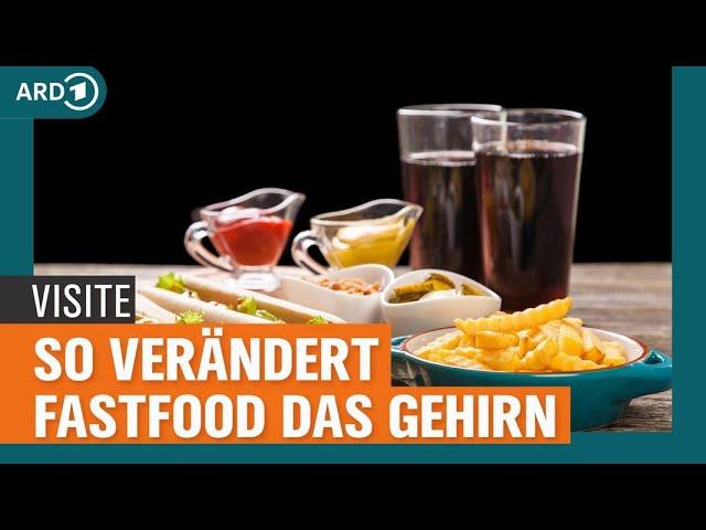 Neue Studie zeigt: Zucker und Fette verändern das Gehirn | Visite | NDR