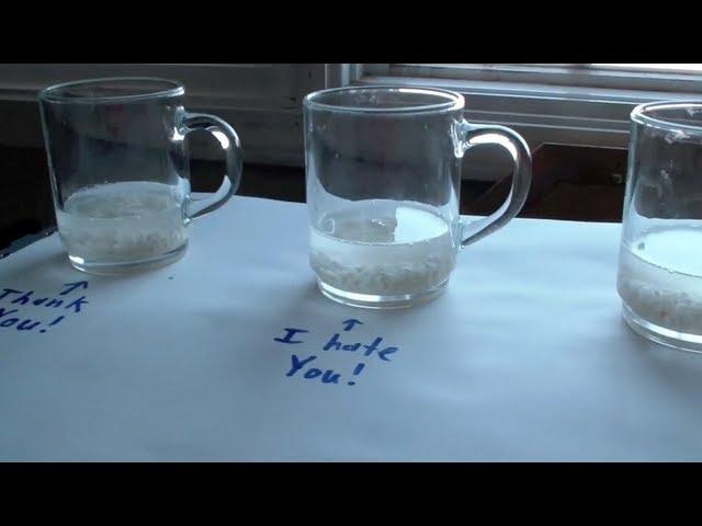 Important Knowledge - Rice Water Experiment - Dr. Emoto Research