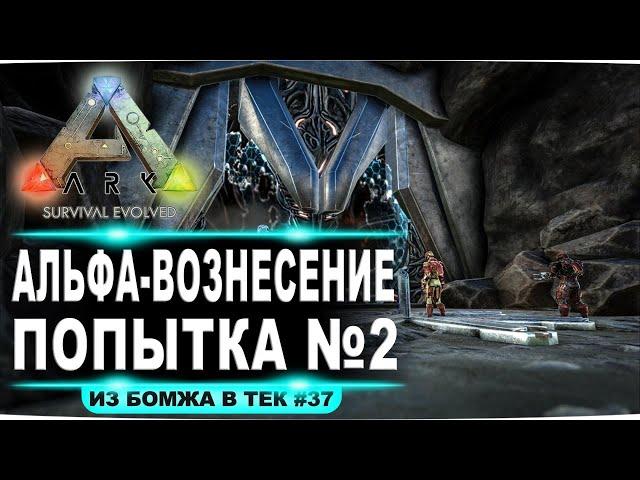 Второй заход на альфа вознесение. Одиночное выживание  (#37 стрим)