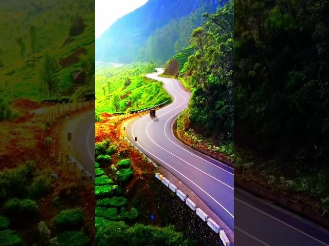 nirmal baskey ka video #sorts #video #reels #2025