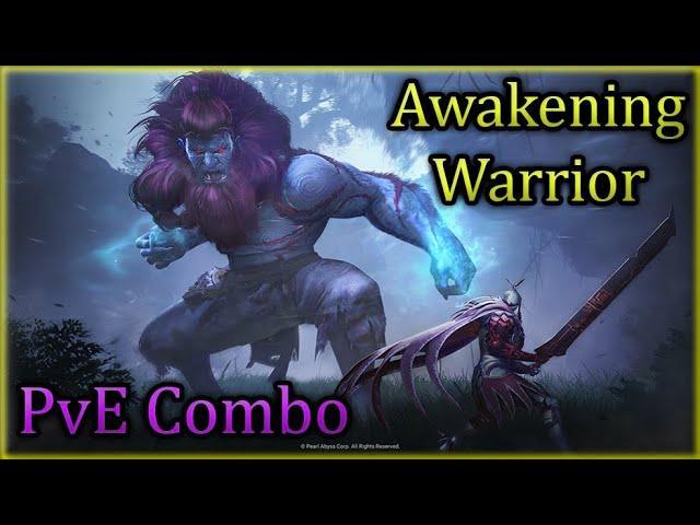 Black Desert Awakening Warrior Infinite PvE Combo | BDO Guide Combo & Addons