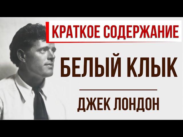 Белый клык. Краткое содержание