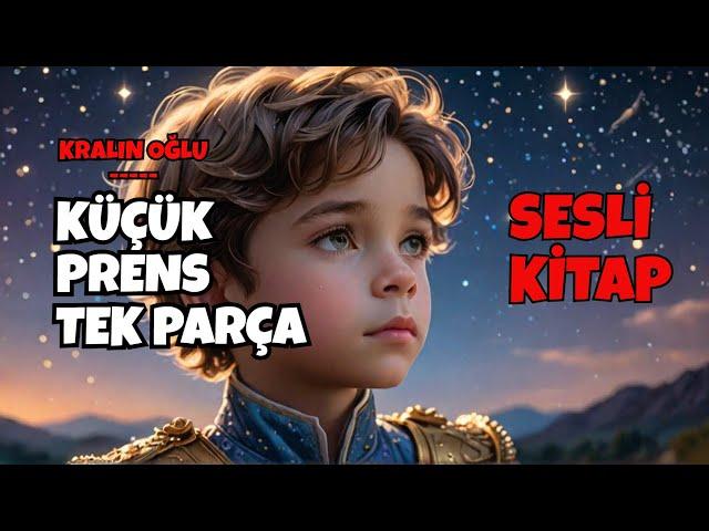 KRALIN OĞLU KÜÇÜK PRENS TEK PARÇA - SESLİ KİTAP - Devrimin Masal Dünyası