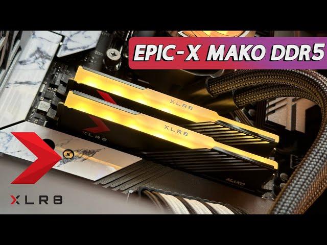 PNY XLR8 MAKO DDR5 RGB 6000MHz - Review