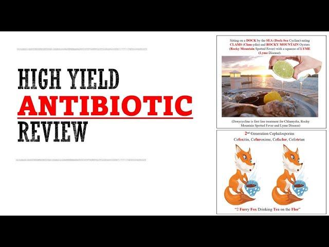 Antibiotic Review | Mnemonics And Proven Ways To Memorize For Your Exam!