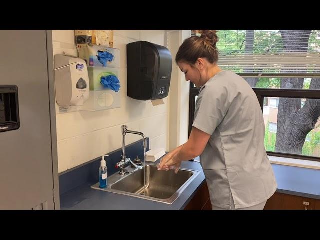ML Hand Hygiene C.I.1 2021-2022