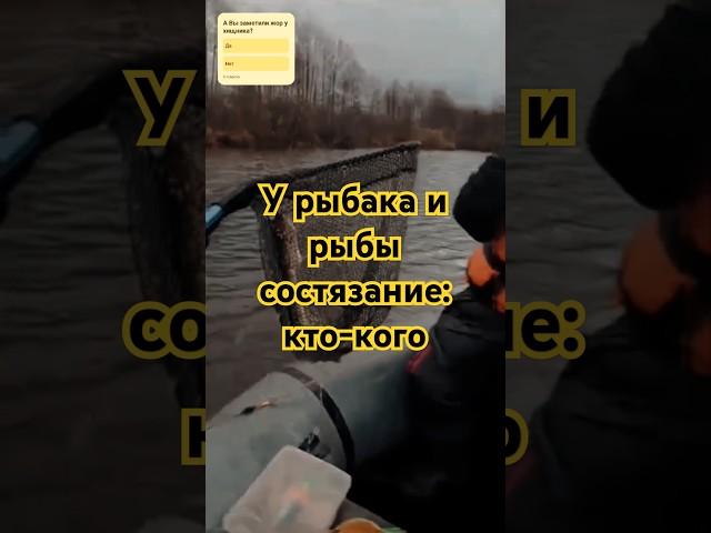 РЫБАК БЕЗ ФАНТАЗИИ, ЧТО РЫБА БЕЗ ХВОСТА) #рекомендации #fishing #щука #рыбалканащуку #рыбалка2024