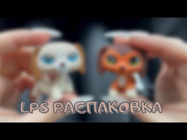 LPS РАСПАКОВКА - петы с Aliexpress и «шикарная» кухня