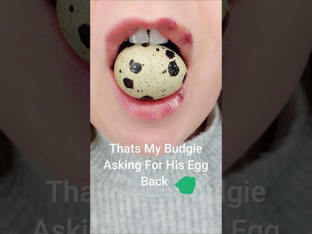 ASMR Crunchy Quail Egg Satisfying Sound #shorts