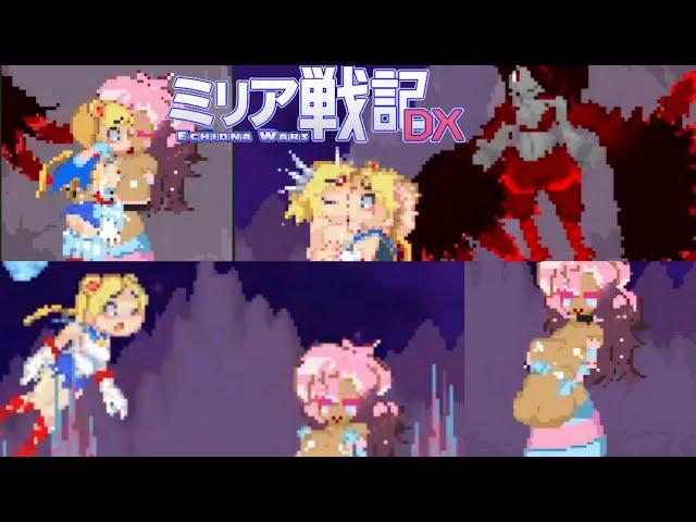 Echidna Wars Dx Sailor Moon