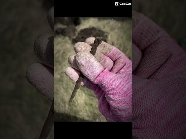 На досуге, в поисках старинных монет и не только. Деревня в окрестностях Алапаевска #чермет #коп