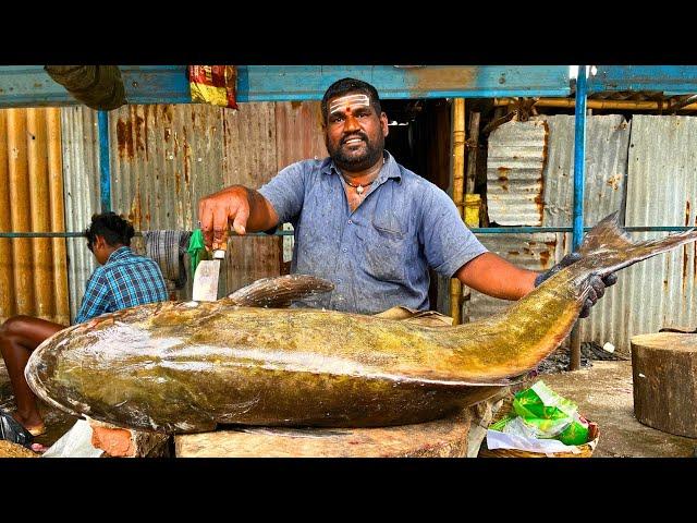 KASIMEDU  MR GOVINDH | 41 KG GIANT BROWN COBIA FISH CUTTTING | IN KASIMEDU | HD VIDEO |FF CUTTTING