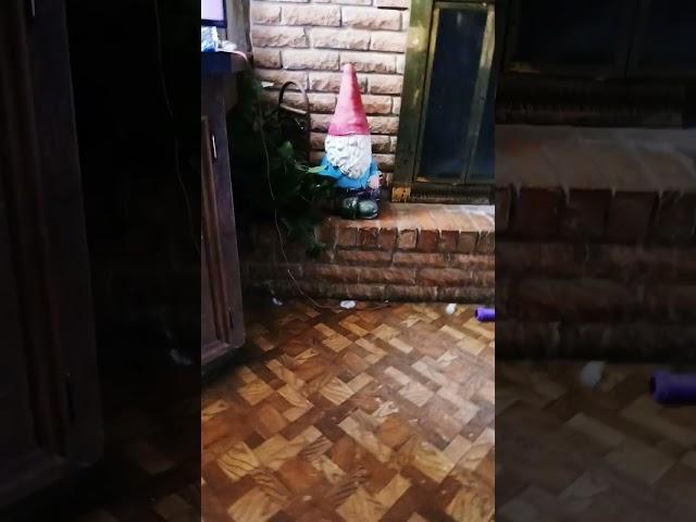 this is a five second video