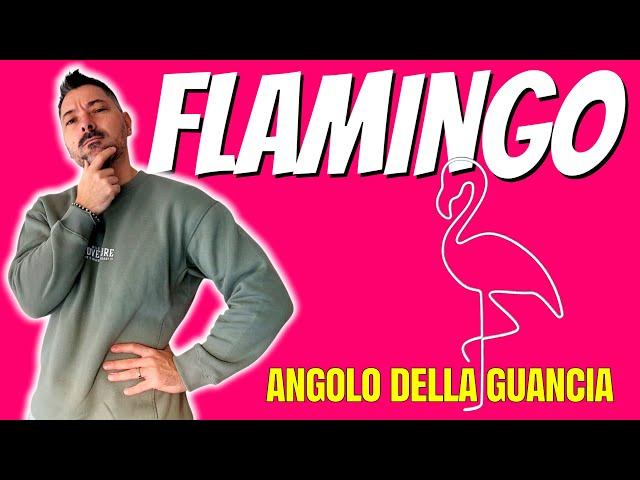 Tabacco Vaniglia e Rum - Flamingo di Shockwave