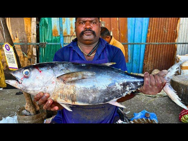 KASIMEDU  SPEED SELVAM | YELLOW FIN TUNA FISH CUTTING VIDEO | IN KASIMEDU | FF CUTTING 