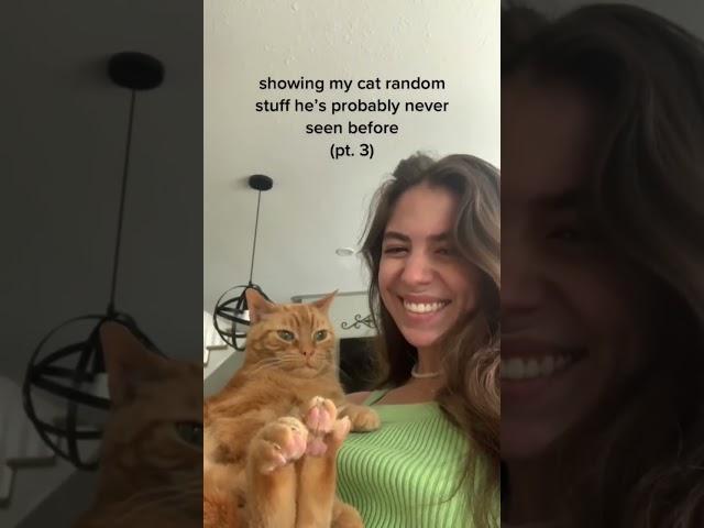 showing my cat random stuff he’s probably never seen before (pt. 3)