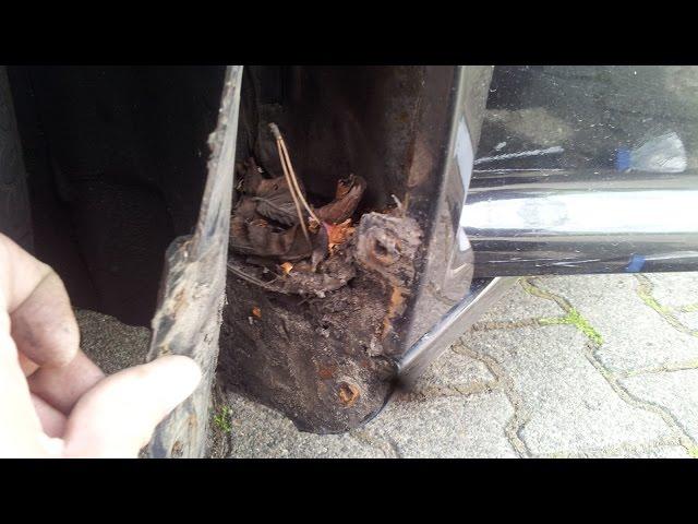 VW Golf Mk 4 cleaning the fenders, rustproofing