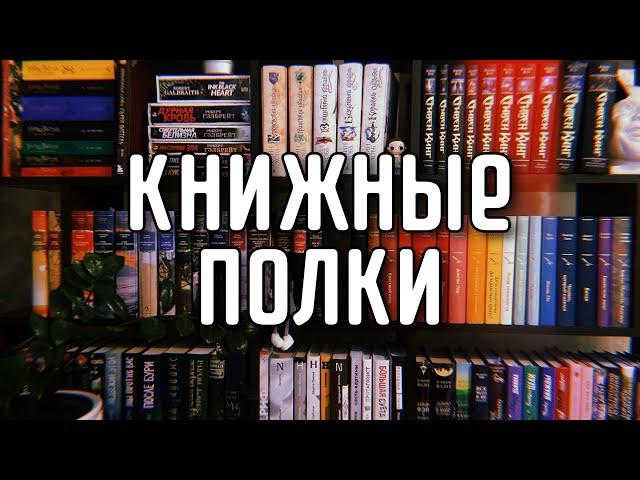 Мои КНИЖНЫЕ ПОЛКИ 2025 / Домашняя библиотека