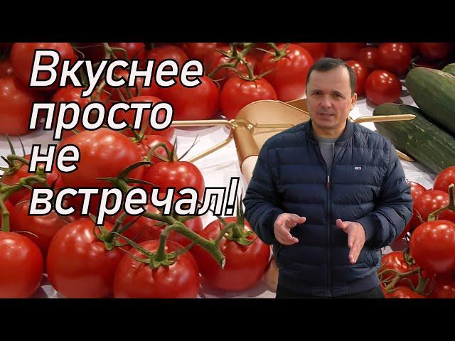 Лучшие сорта томатов для салатов и томатного сока! Вкуснее помидор не пробовал.