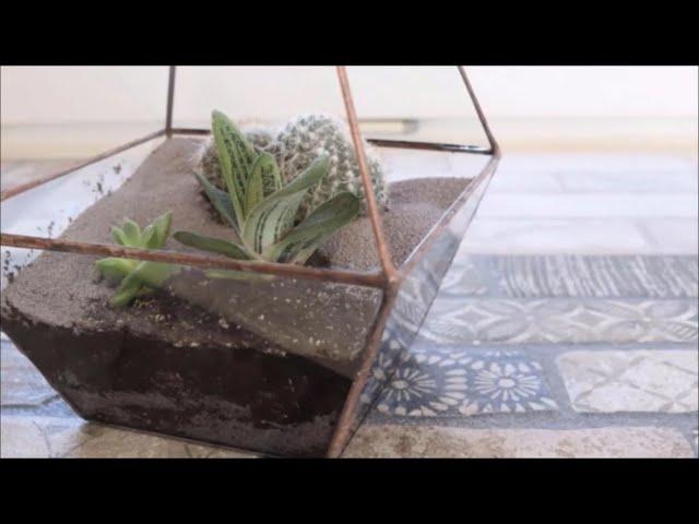  DIY  FLORARIUM WITH YOUR OWN HANDS  MASTER CLASS  ФЛОРАРИУМ СВОИМИ РУКАМИ  МАСТЕР-КЛАСС 