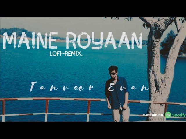 Maine Royaan | Lofi~Remix| Tanveer Evan.