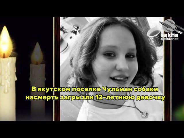 В якутском поселке Чульман бродячие собаки насмерть загрызли ребенка #sakha #yakutia #новости