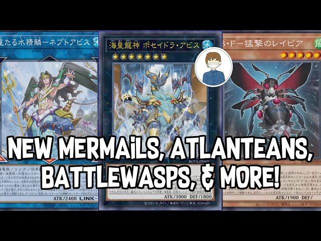 NEW MERMAILS, BATTLEWASPS, & MORE! Yu-Gi-Oh!