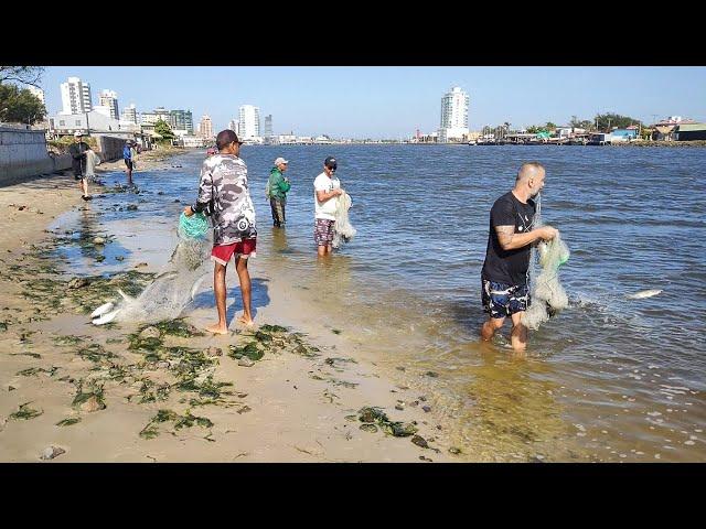 Pesca de tarrafas, 12-03-24, Barra de Tramandaí, RS. #pescadetarrafas #netfishing #pescarias #fish