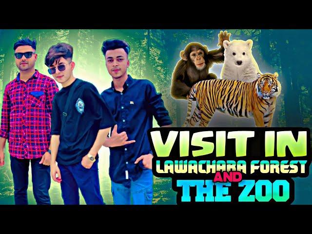 শ্রীমঙ্গল গিয়ে বাঘের সাথে দেখা  | SREEMANGAL  | sylhet || yasir Ahmed || vlog ||