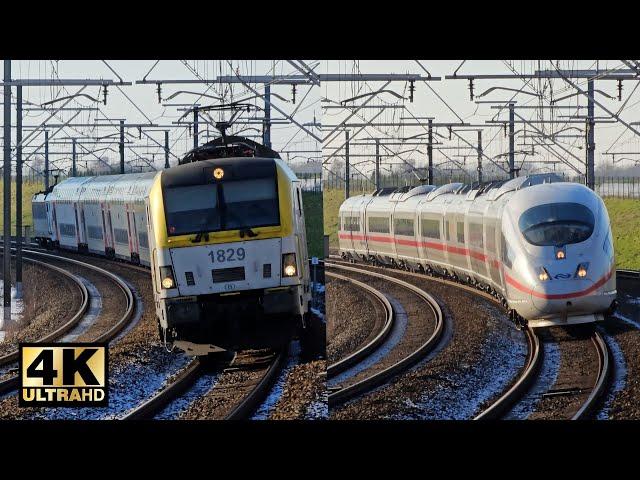 Train Traffic between Brussels and Leuven (200 km/h) | January 16, 2024