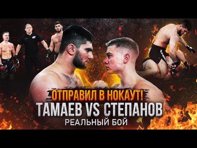 Тамаев vs. Степанов. Бой по ММА. Отправил в Нокаут!