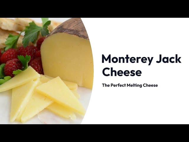 Monterey Jack Cheese - Is Monterey Jack Cheese Healthy? All You Need To Know!