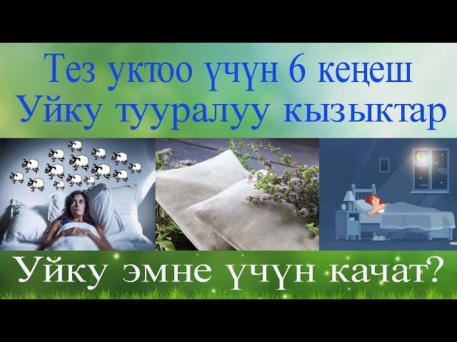 Тез уктоо үчүн 6 кеңеш  Уйку качан качат