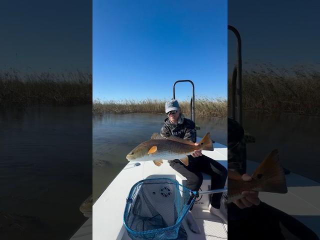 Our next Video….. LOUISIANA BULL REDFISH ‼️#Louisiana #Redfish #travelfishfilm #flyfishing