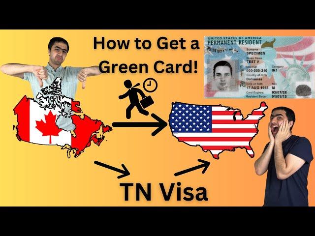 Green Card Options for Canadians in the US | TN Visa to Permanent Residency