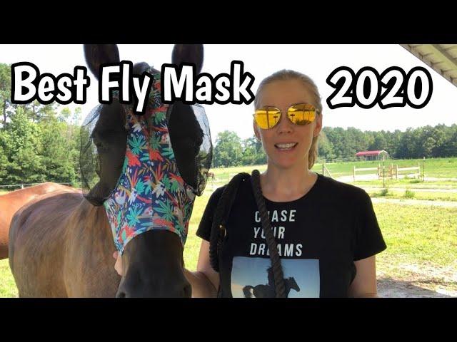 WHAT'S THE BEST FLY MASK OF 2020?