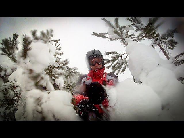 Freeriding Fir Trees - Seli