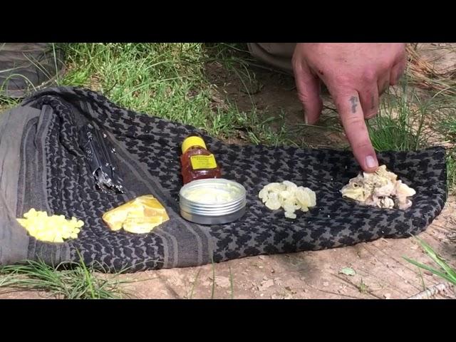 Bushcraft: Chewing Gum