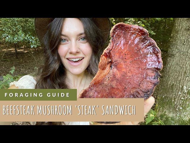 Beefsteak Mushrooms | Forage For Mushrooms + Make a Mushroom 'Steak' Sandwich