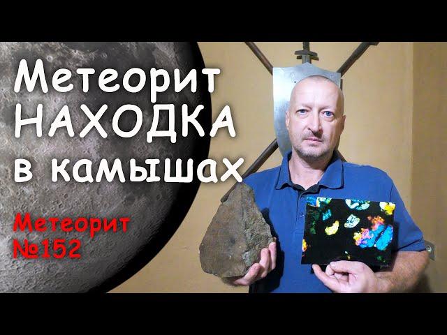 Находка в камышах (метеорит 152) Заканчиваю сезон поиска метеоритов на юге России!