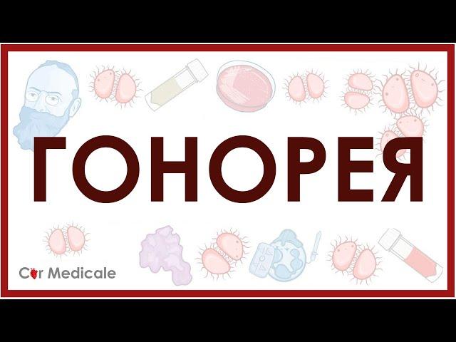 Гонорея - возбудитель (Neisseria gonorrhoeae), симптомы