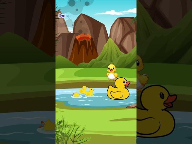 Daisy's Discoveries : Mother Duck and her adorable   | #shorts  