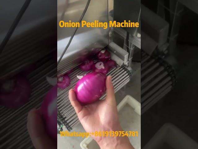 Efficient Onion Peeling Machine: Peeling Rate of 98% Or More