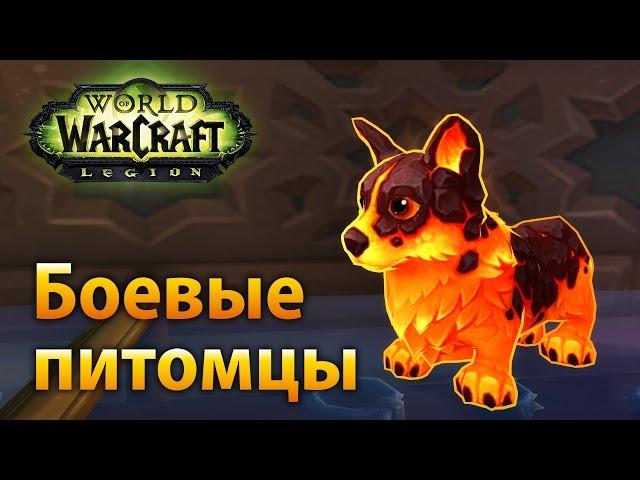 Нубо-гайд: боевые питомцы в WoW