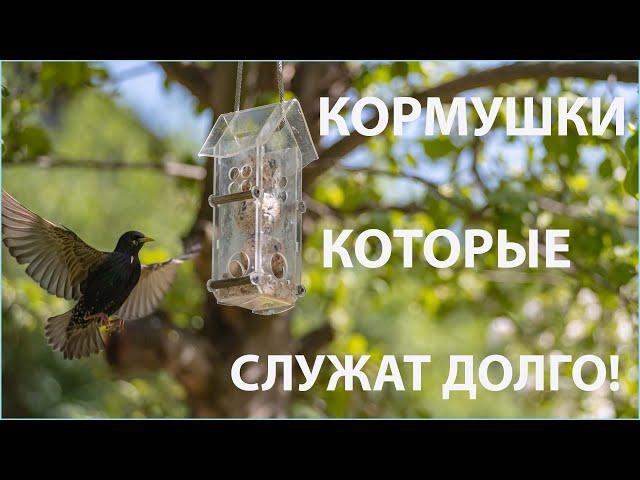 Кормушки которые служат долго! Привлечение птиц на участок! Необычное поведение пернатых на кормушке