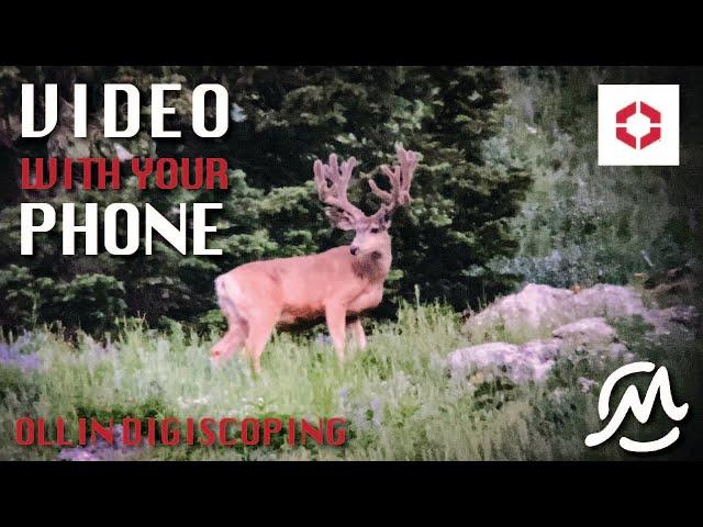 BEST DIGISCOPING SETUP! Simple, Fast, Clean | Ollin