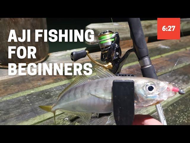 Aji Fishing Tutorial for Beginners | Micro Softbaiting Ajing for Jack Mackerel