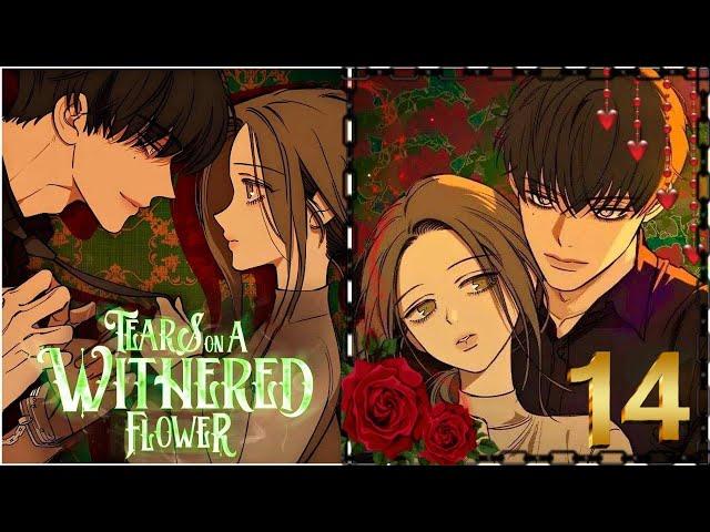 Tears on a Withered Flower - Manhwa Recap