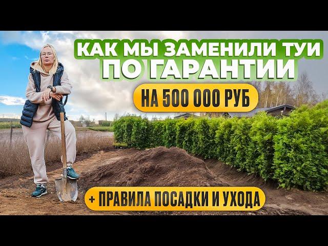 Как мы заменили туи по гарантии! Правила посадки и ухода.